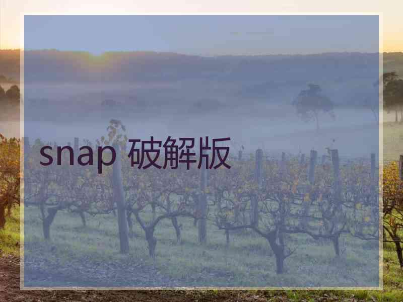snap 破解版 snap 破解版
