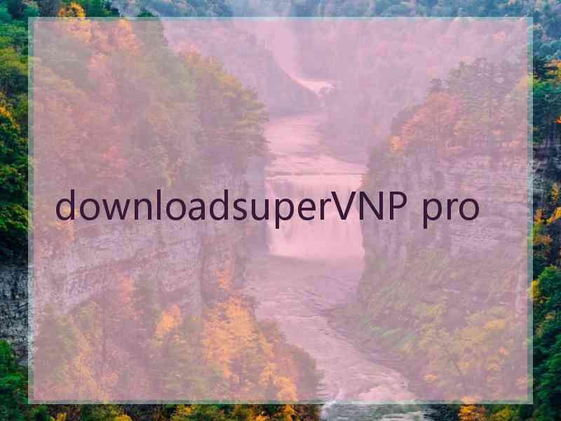 downloadsuperVNP pro downloadsuperVNP pro