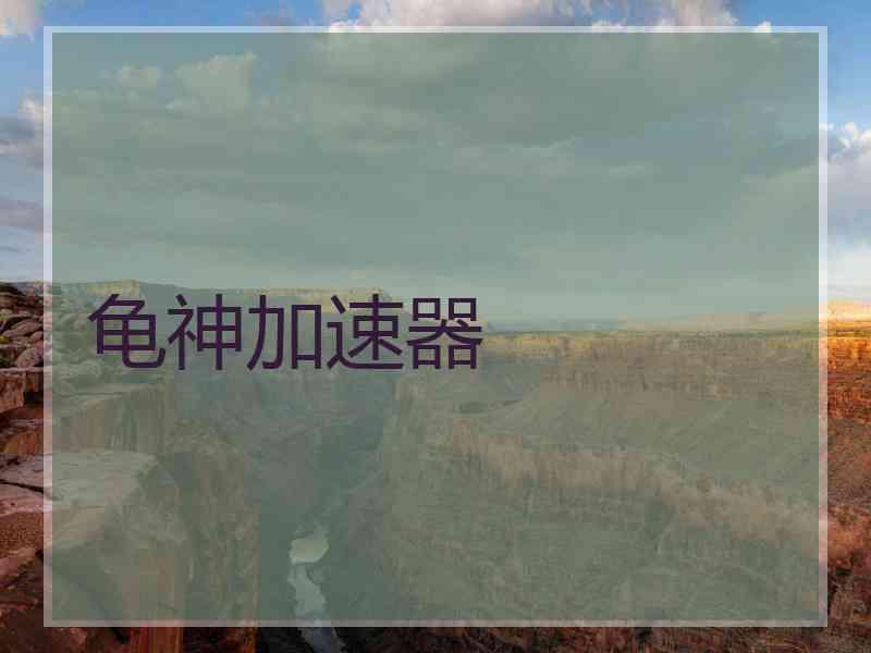 龟神加速器 龟神加速器