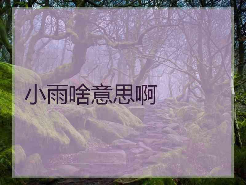 小雨啥意思啊 小雨啥意思啊