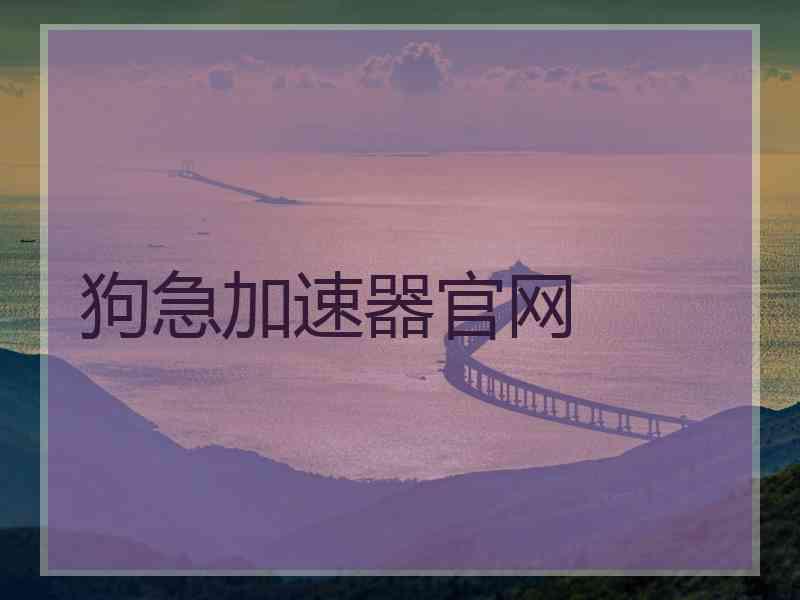 狗急加速器官网 狗急加速器官网