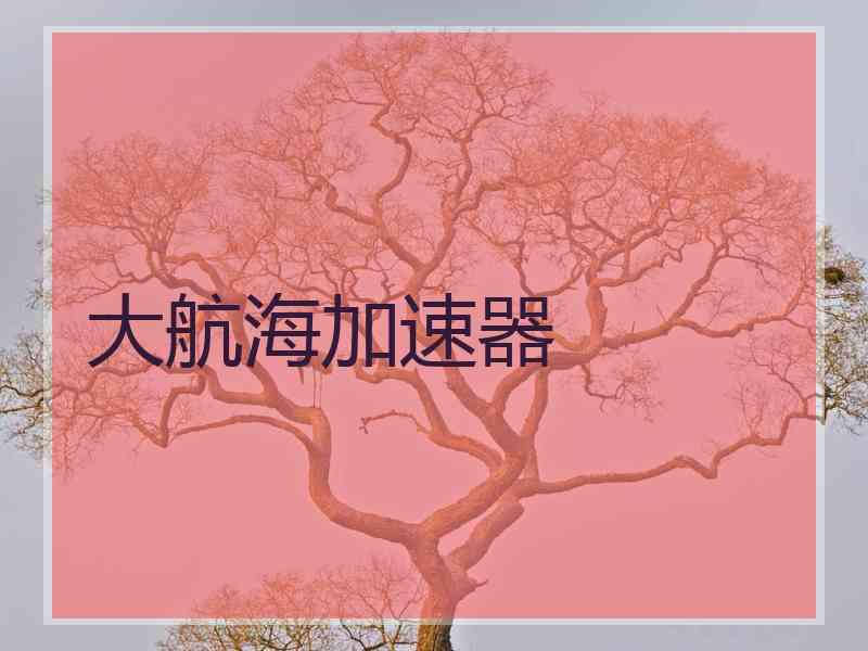 大航海加速器 大航海加速器