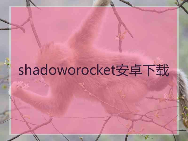 shadoworocket安卓下载