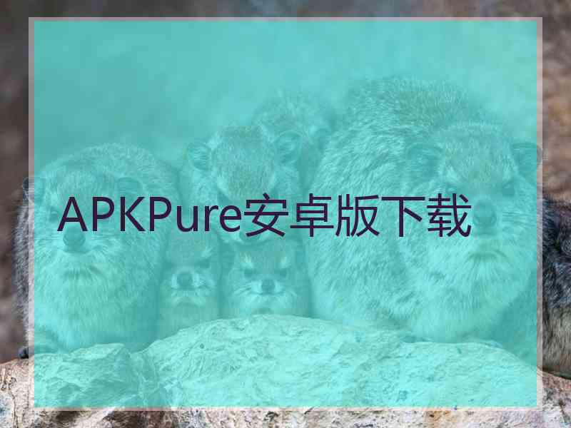 APKPure安卓版下载
