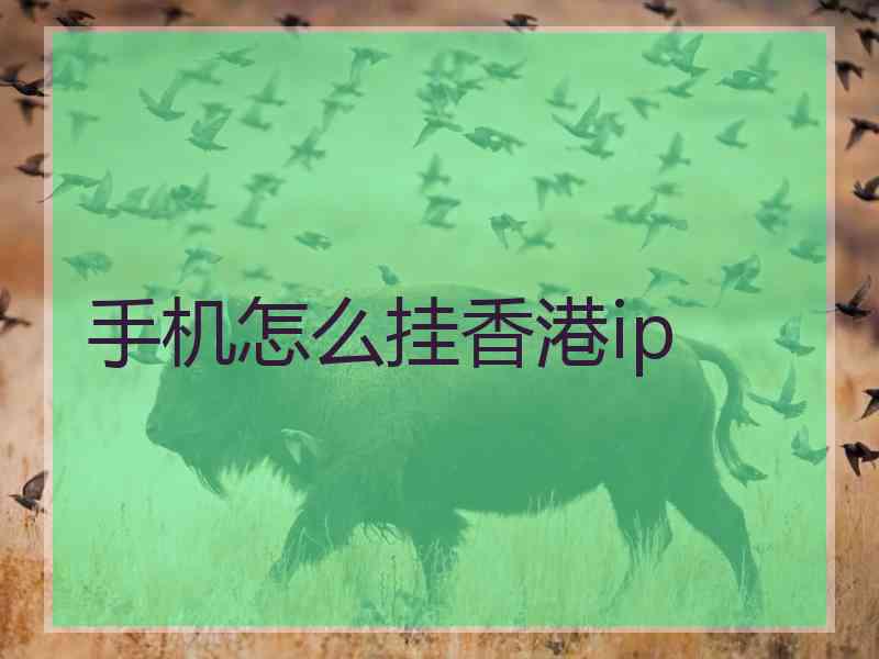 手机怎么挂香港ip 手机怎么挂香港ip
