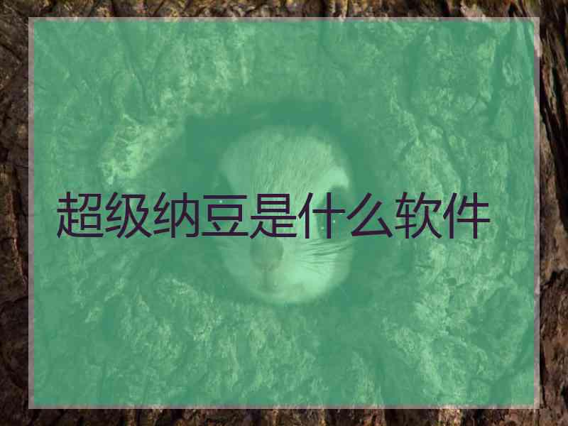 超级纳豆是什么软件 超级纳豆是什么软件