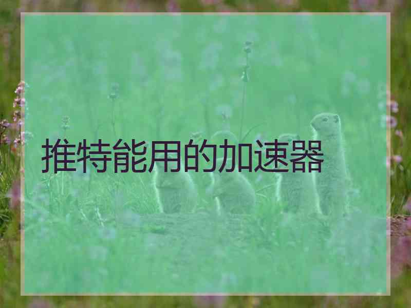 推特能用的加速器 推特能用的加速器