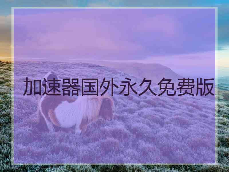 加速器国外永久免费版 加速器国外永久免费版