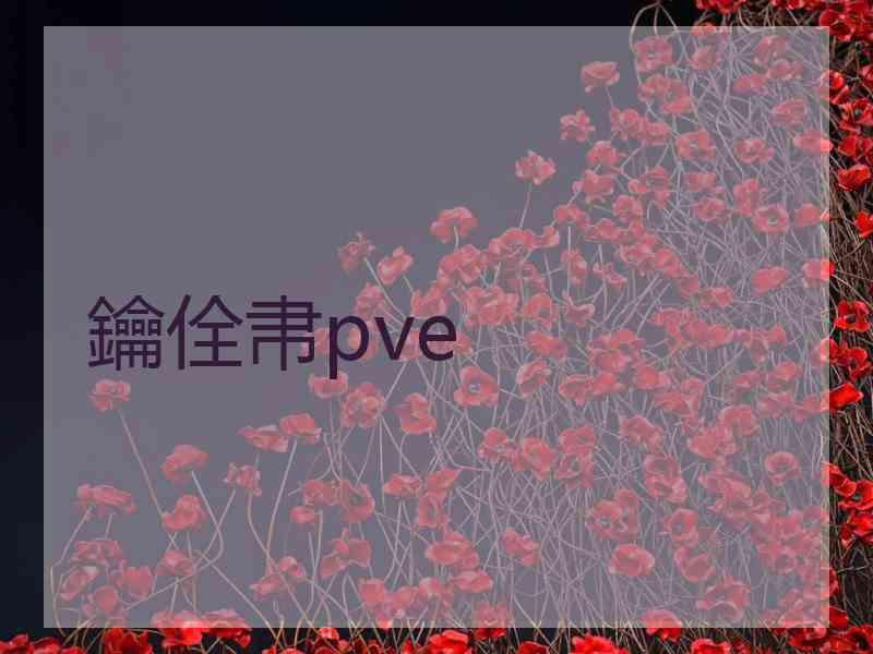 鑰佺帇pve 鑰佺帇pve