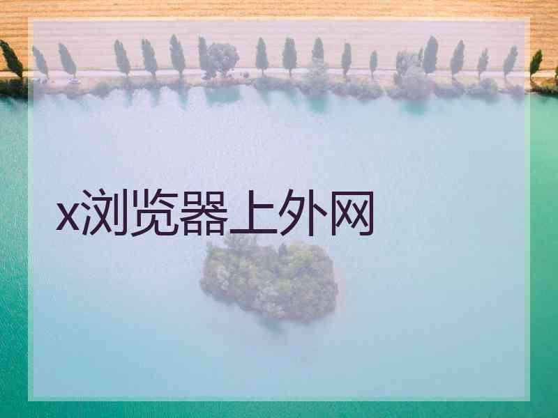 x浏览器上外网 x浏览器上外网