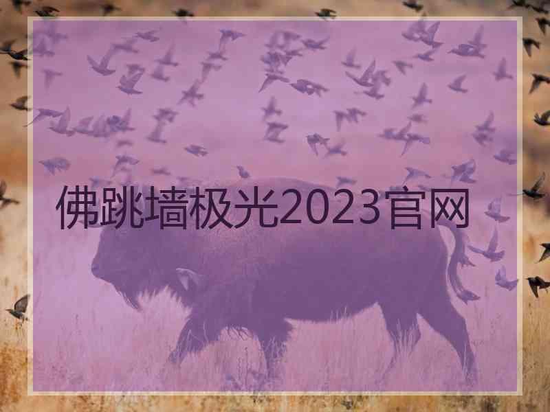 佛跳墙极光2023官网