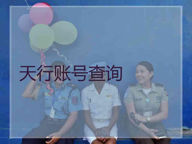 天行账号查询 天行账号查询