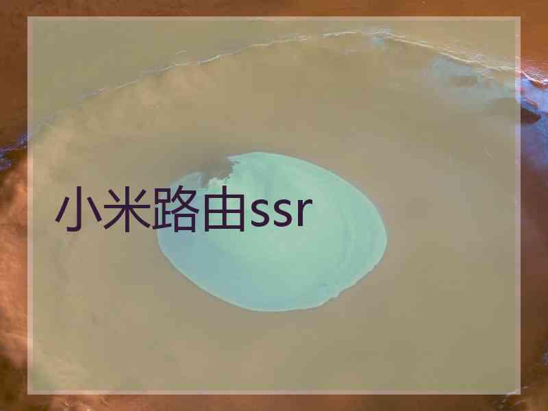 小米路由ssr 小米路由ssr