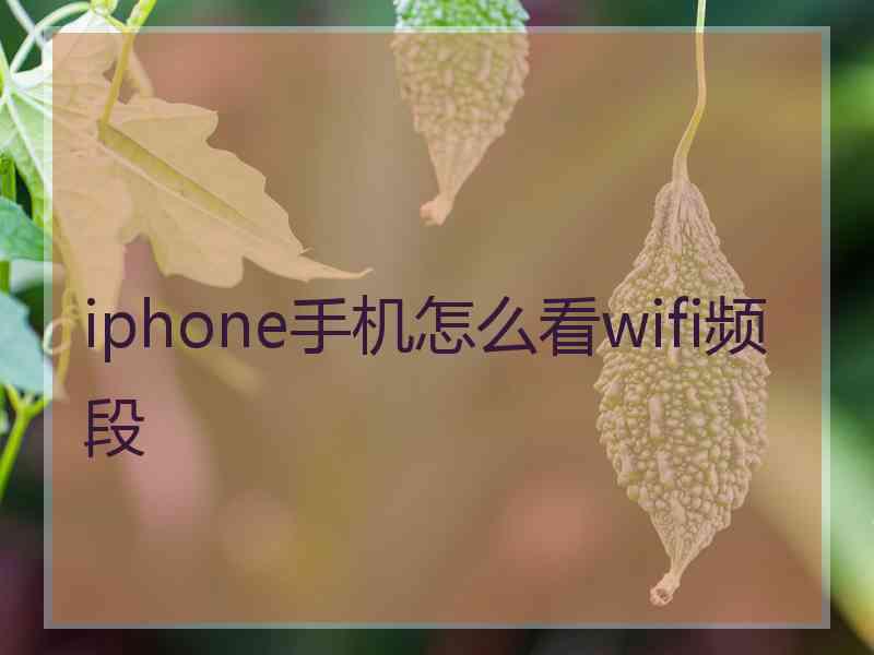 iphone手机怎么看wifi频段 iphone手机怎么看wifi频段
