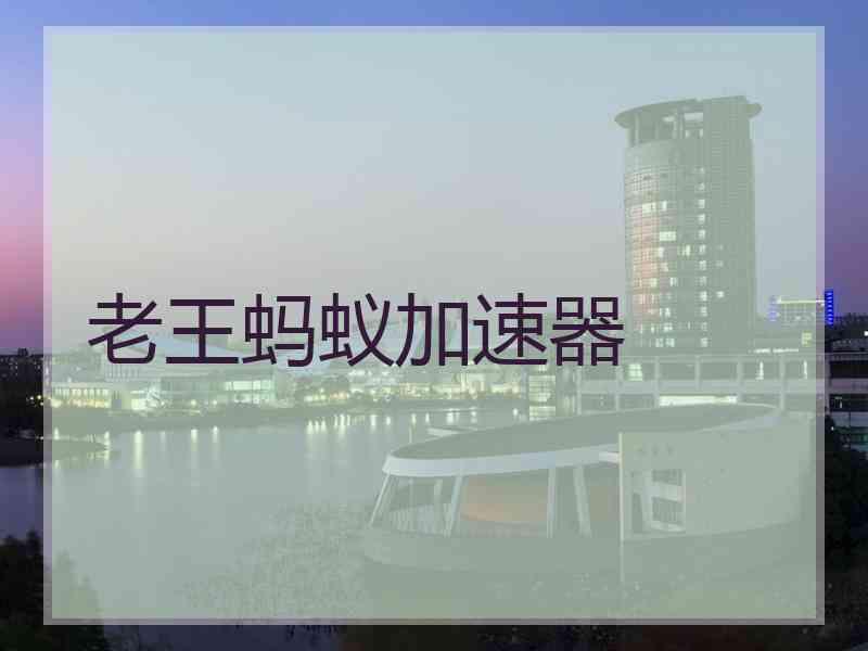 老王蚂蚁加速器 老王蚂蚁加速器