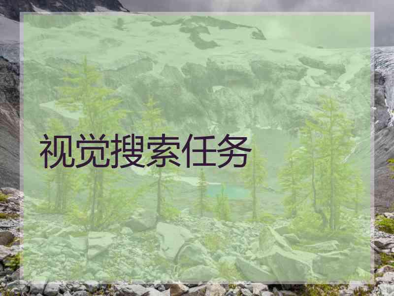 视觉搜索任务 视觉搜索任务