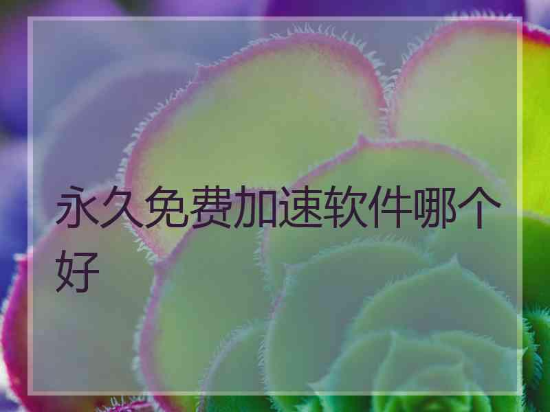 永久免费加速软件哪个好 永久免费加速软件哪个好