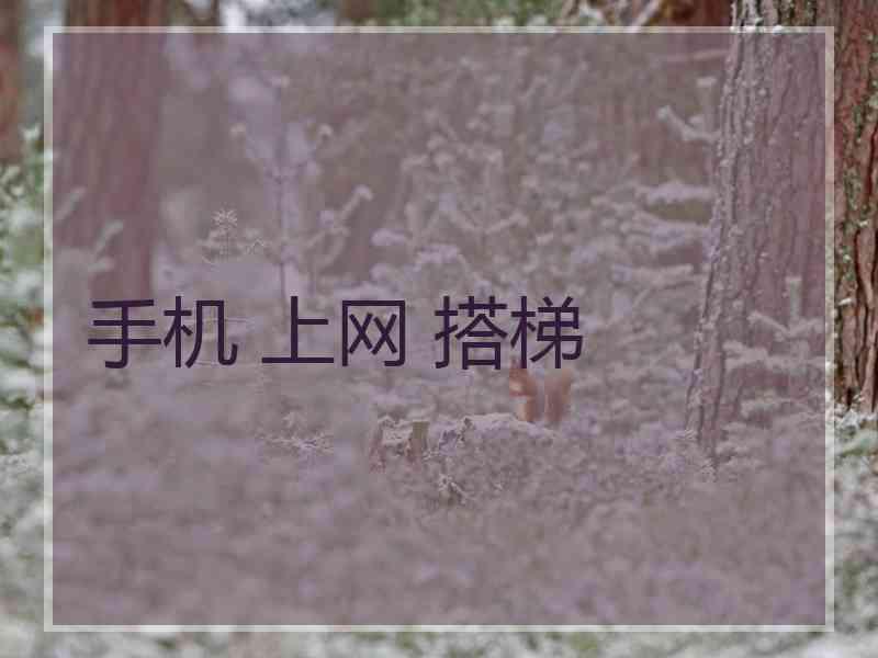 手机 上网 搭梯 手机 上网 搭梯