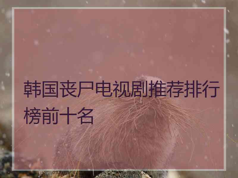 韩国丧尸电视剧推荐排行榜前十名 韩国丧尸电视剧推荐排行榜前十名