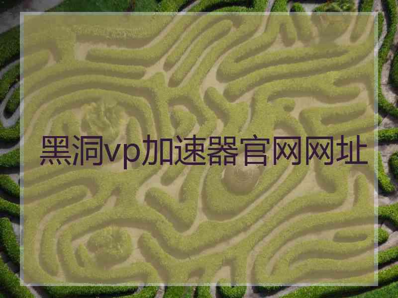 黑洞vp加速器官网网址 黑洞vp加速器官网网址