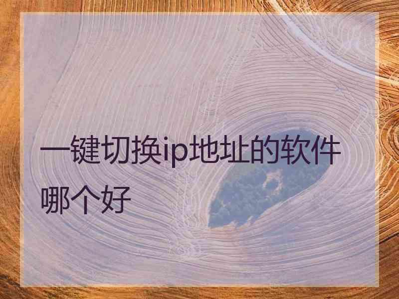 一键切换ip地址的软件哪个好 一键切换ip地址的软件哪个好