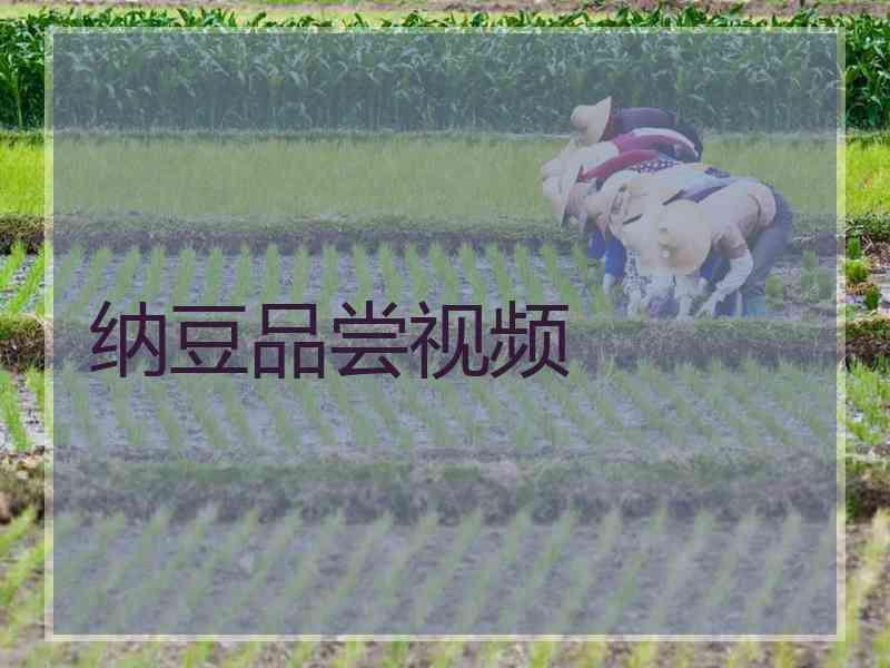 纳豆品尝视频 纳豆品尝视频