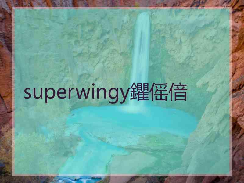 superwingy鑺傜偣