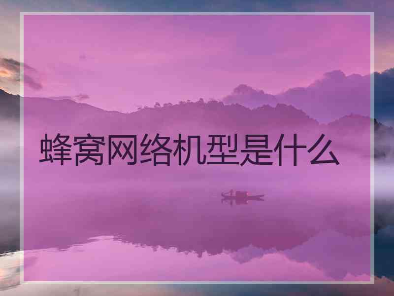 蜂窝网络机型是什么