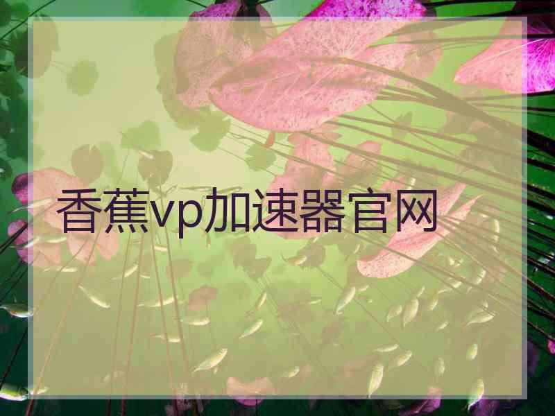 香蕉vp加速器官网