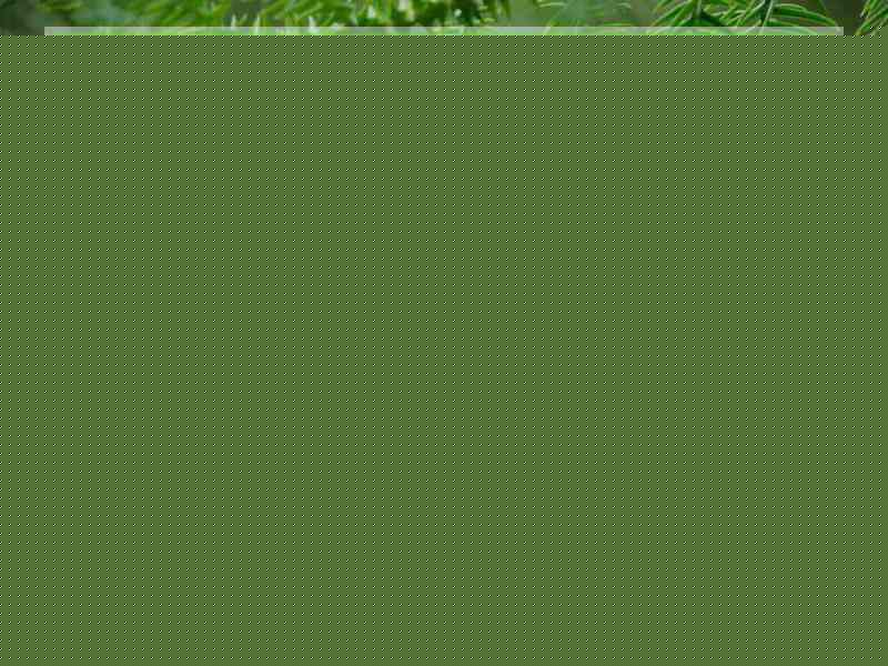 快连电脑版无法上网