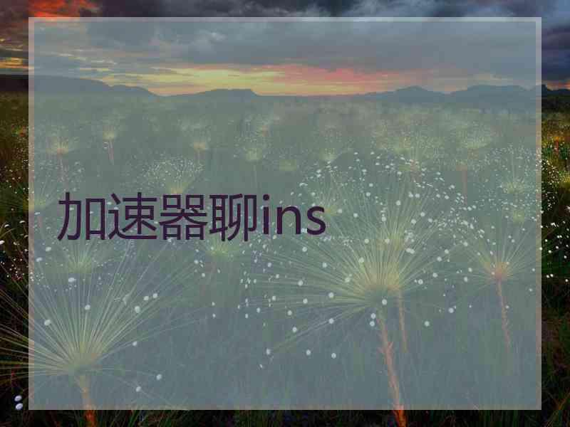 加速器聊ins