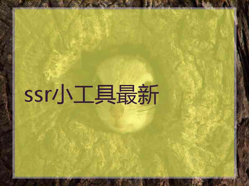 ssr小工具最新