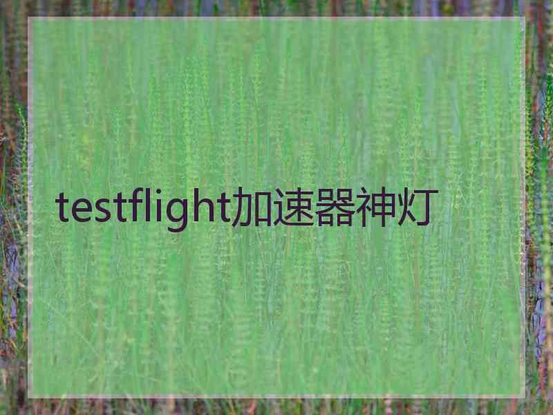 testflight加速器神灯