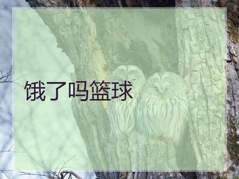 饿了吗篮球