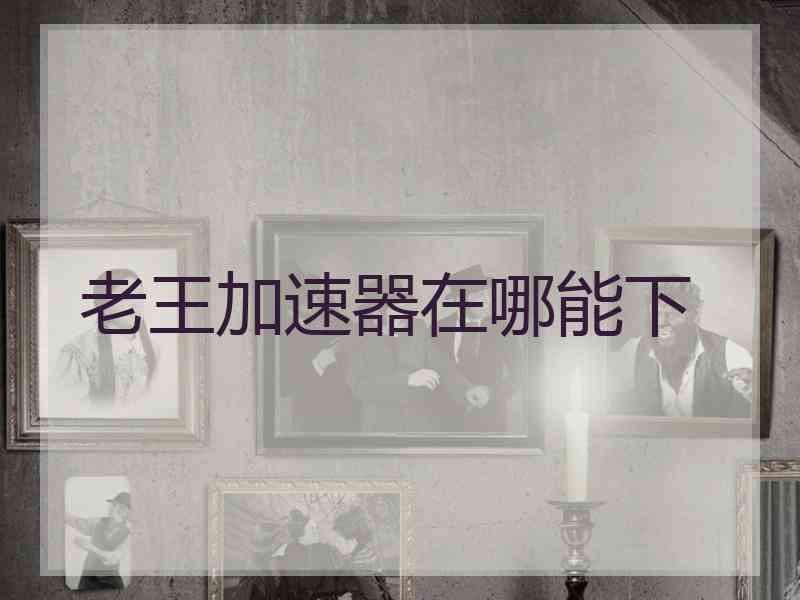 老王加速器在哪能下