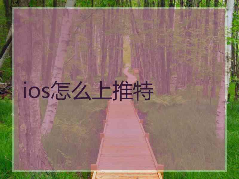 ios怎么上推特