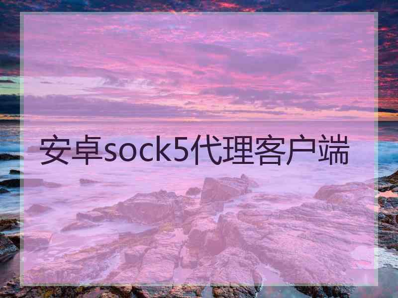 安卓sock5代理客户端