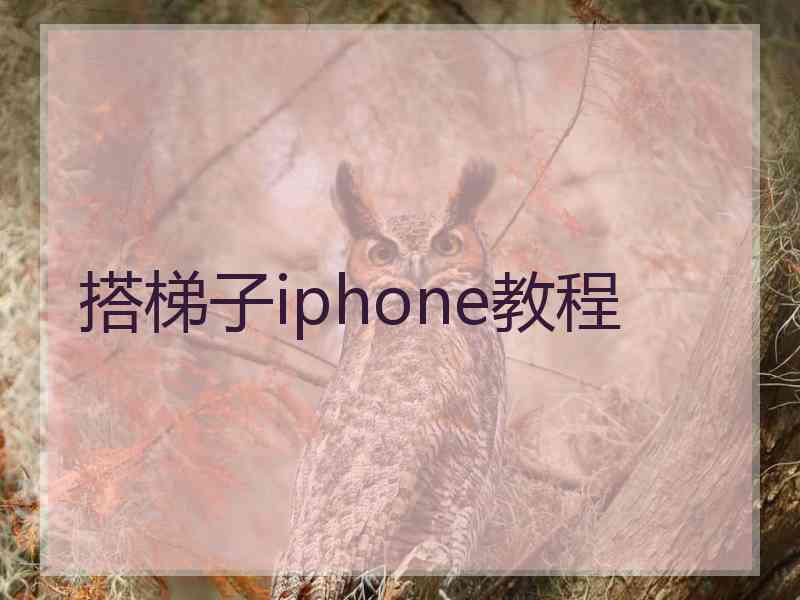 搭梯子iphone教程