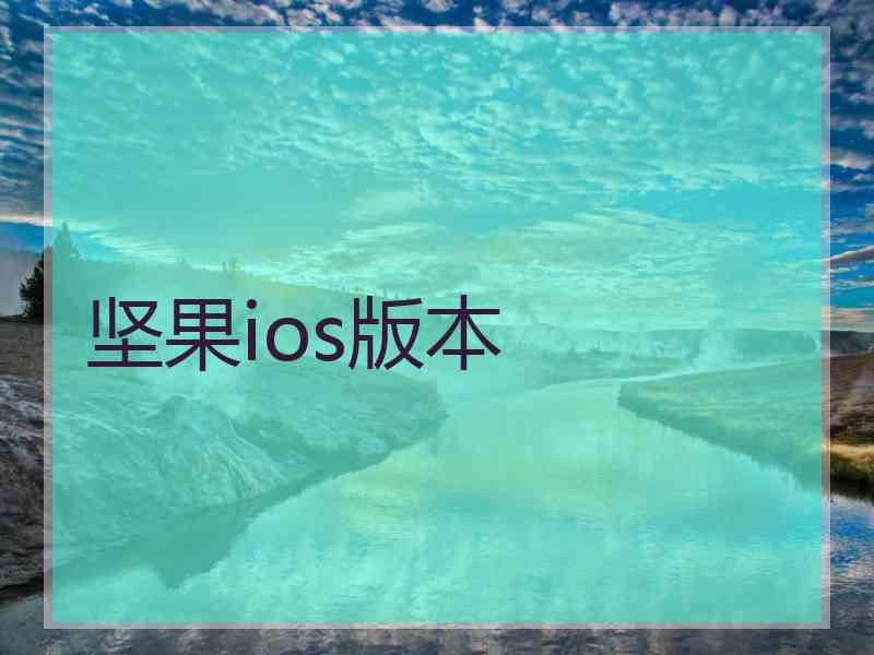 坚果ios版本