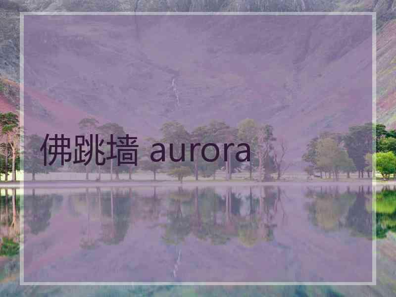 佛跳墙 aurora