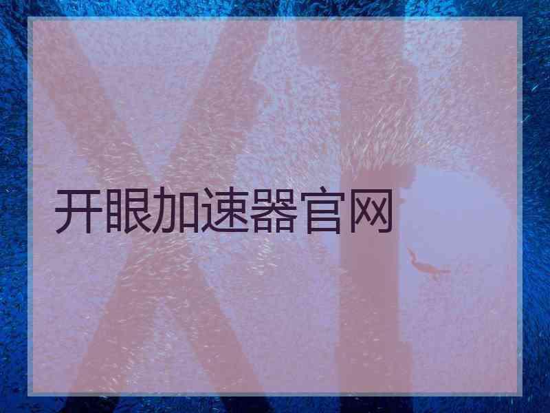 开眼加速器官网