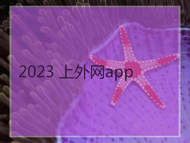 2023 上外网app