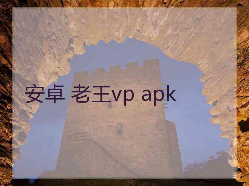 安卓 老王vp apk