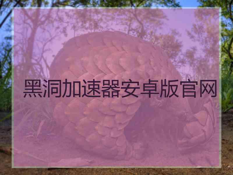 黑洞加速器安卓版官网