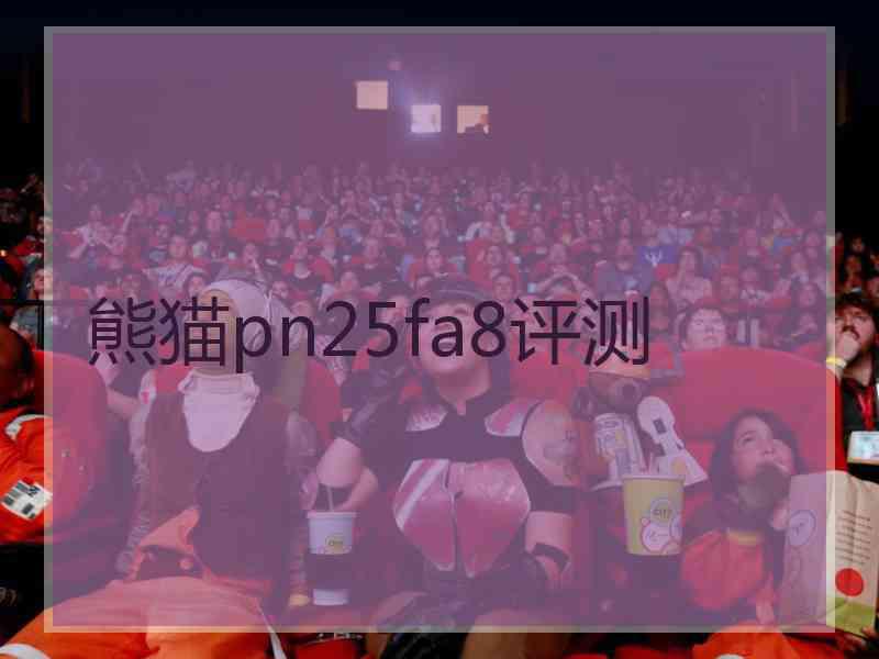 熊猫pn25fa8评测