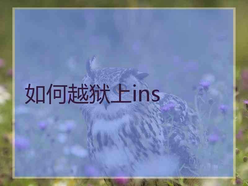 如何越狱上ins