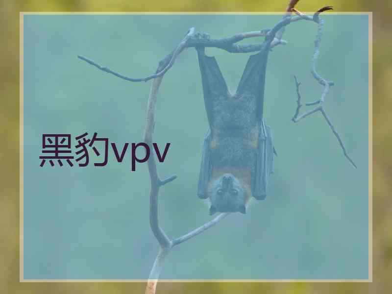 黑豹vpv