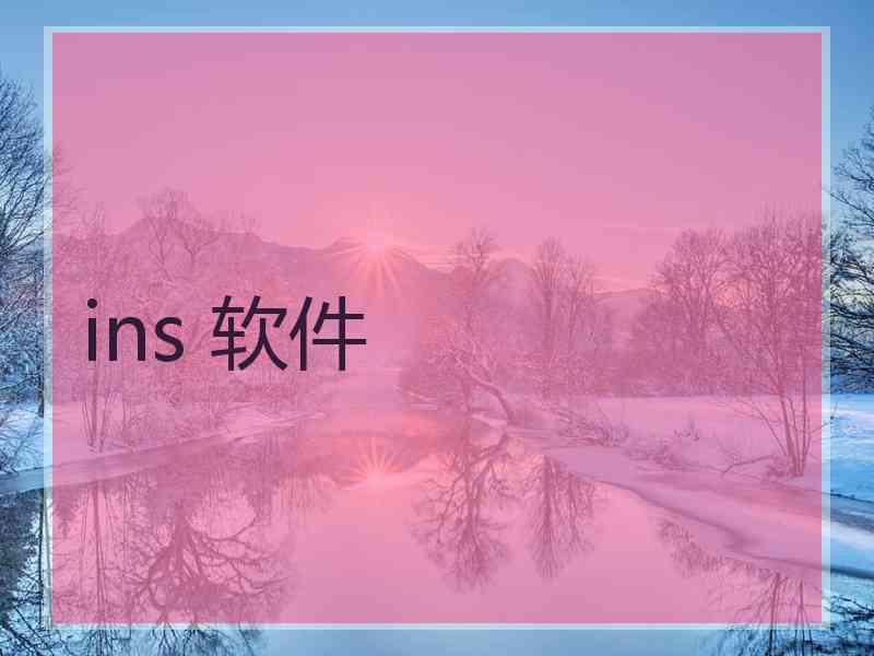 ins 软件