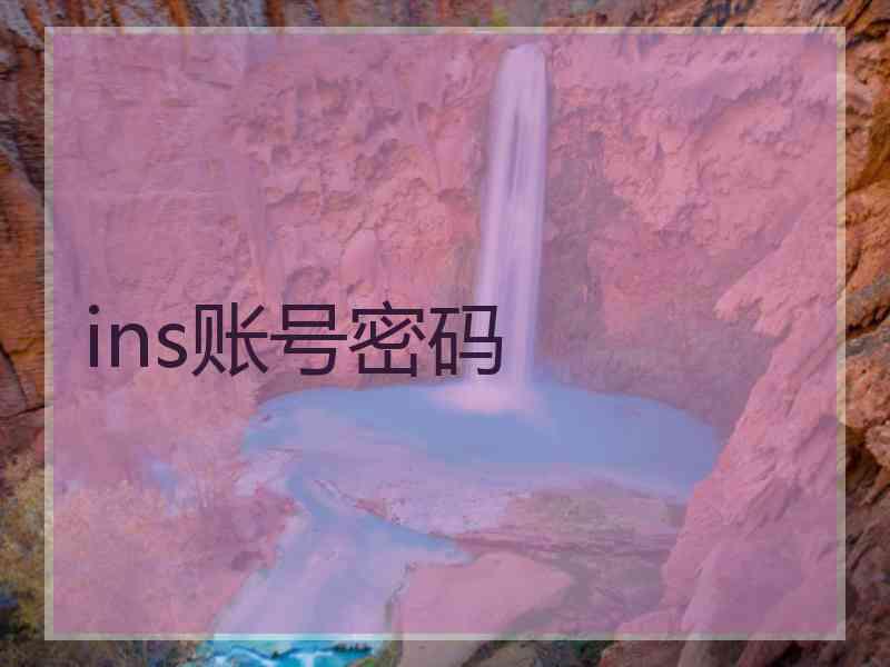 ins账号密码