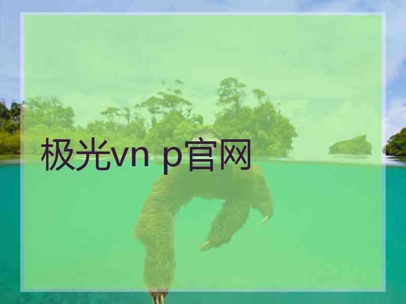 极光vn p官网